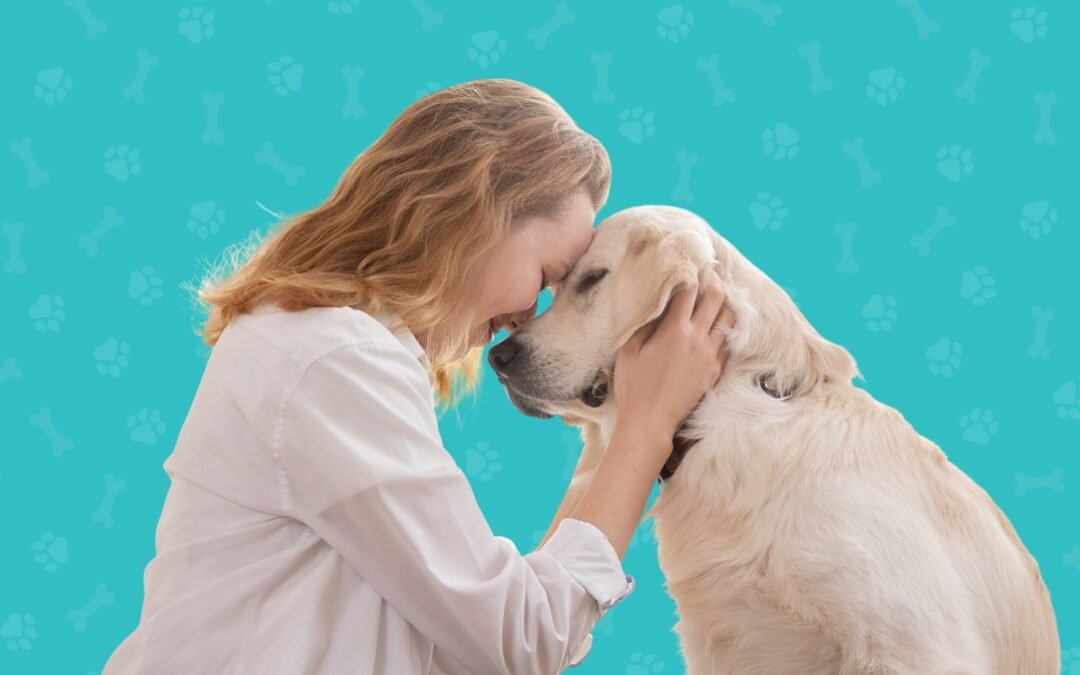 Best Shampoo for Sensitive Dogs & Cats – JOJO Plus