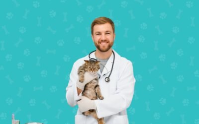 Embelia Dewormer Syrup: Natural Digestive & Deworming Support for Cats and Kittens