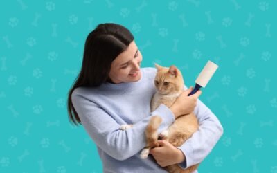 Best Herbal Hair & Skin Oil for Dogs & Cats – Ayur Gandha